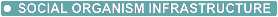 Social Organism Infrastructure
